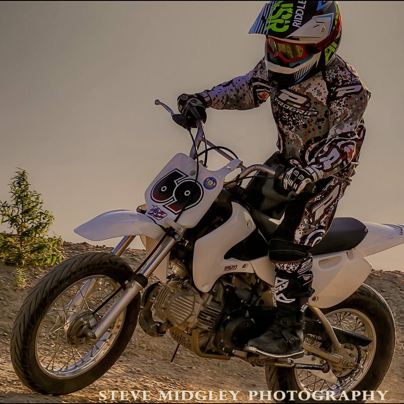 Profile of David Rybarik