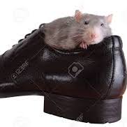 Profile of Dave Taylor