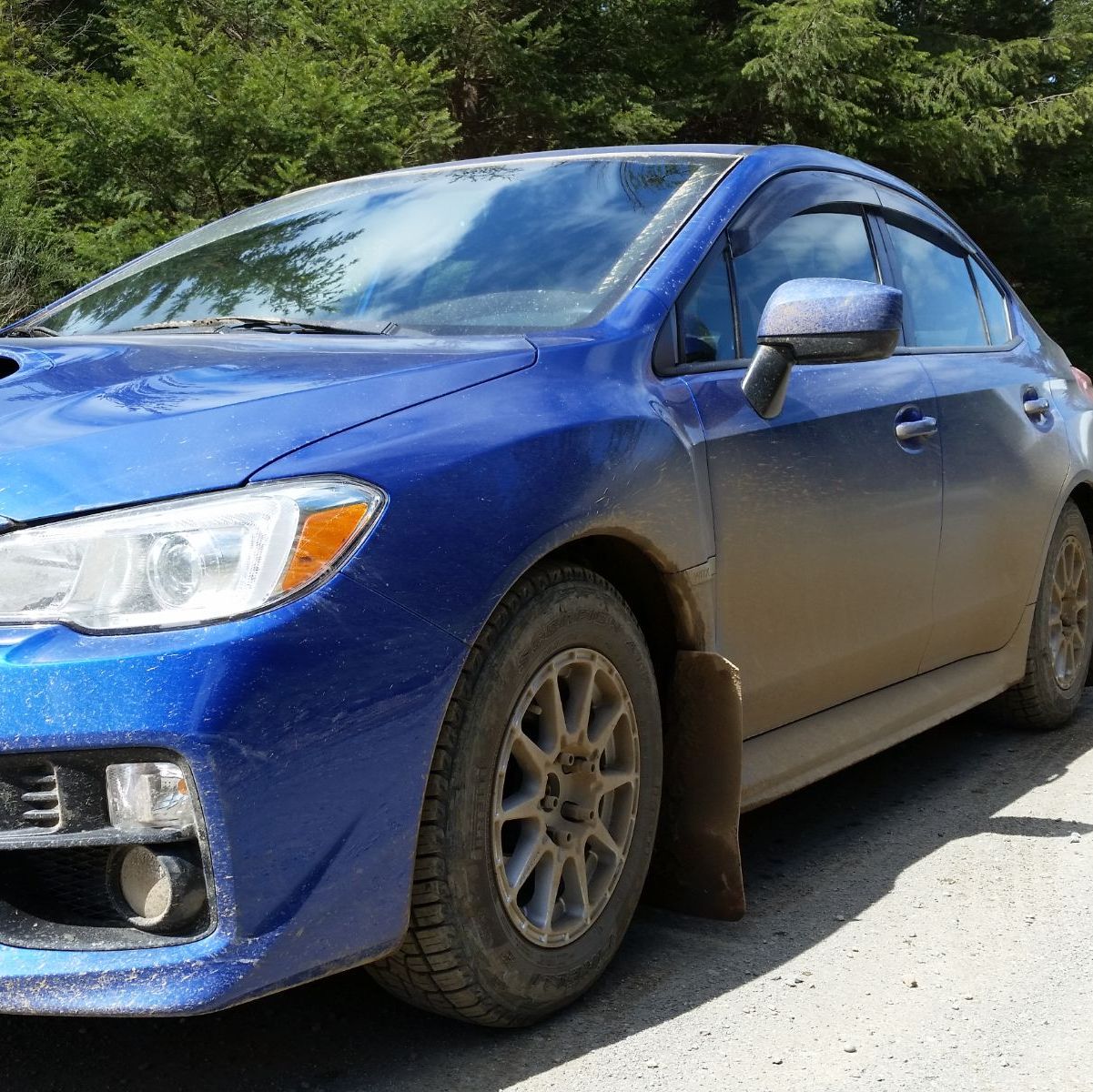 Profile of Dan Grillot