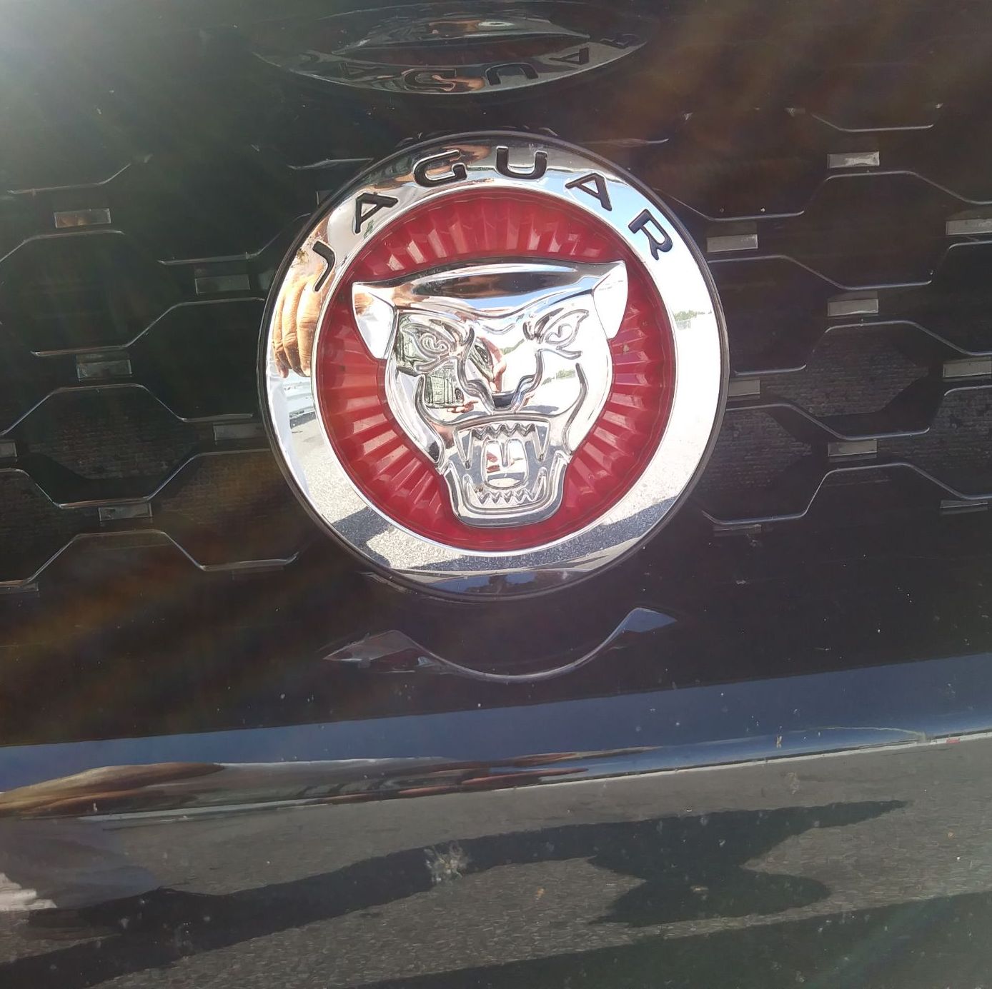 Profile of Robert Carnright