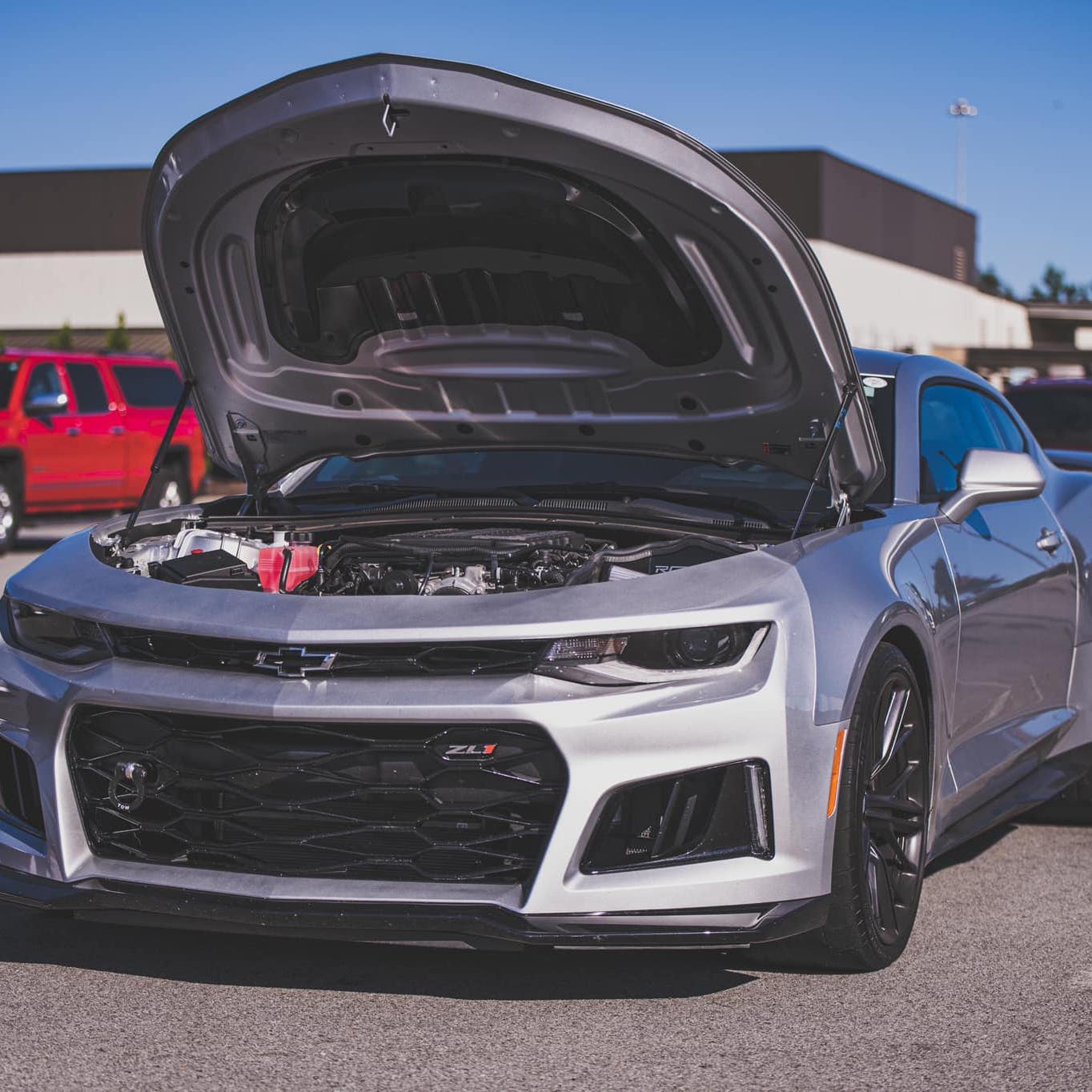 Profile of John Christoff