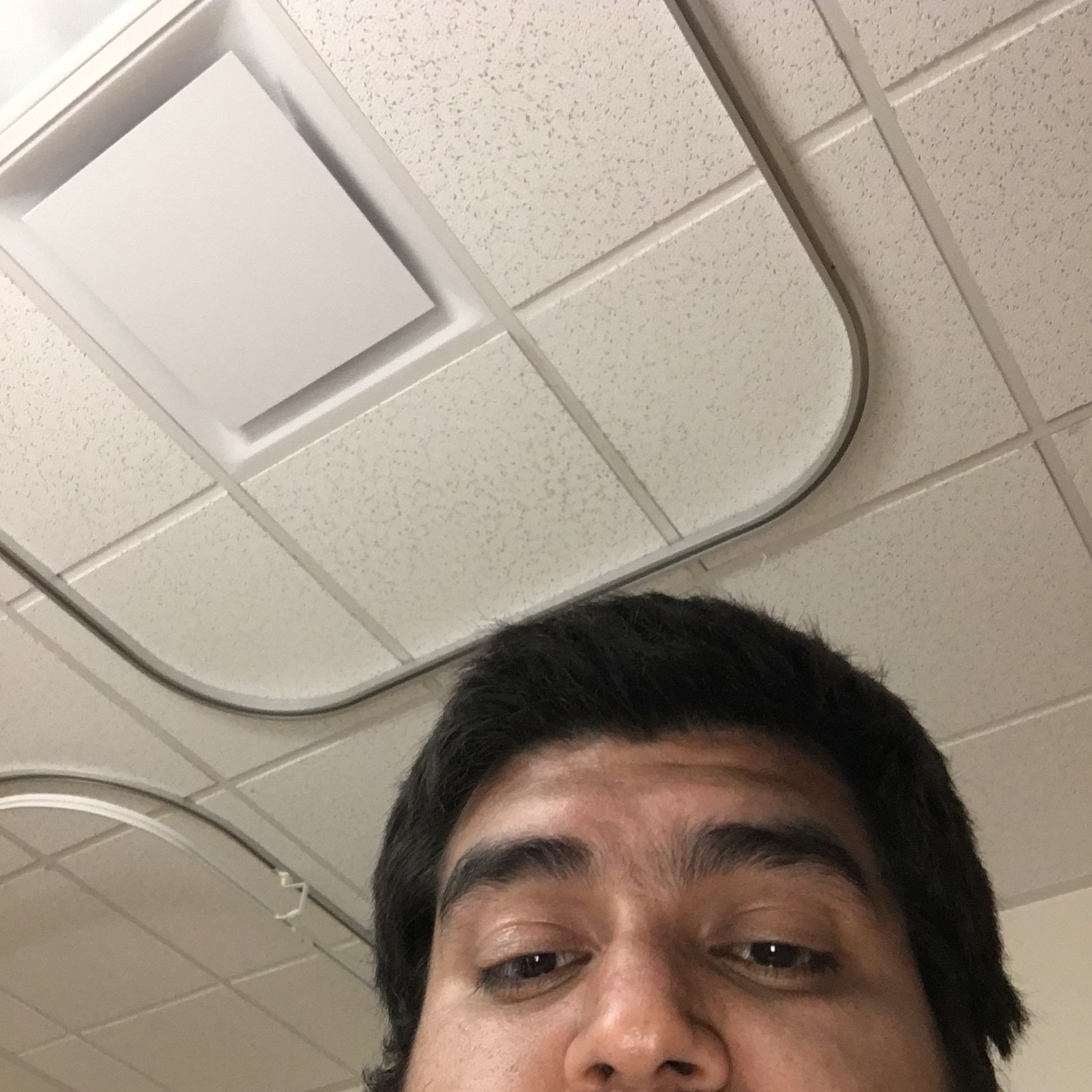 Profile of Max Villa