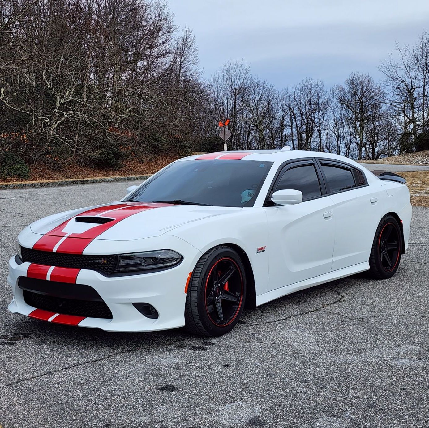 Profile of Jason Shannon