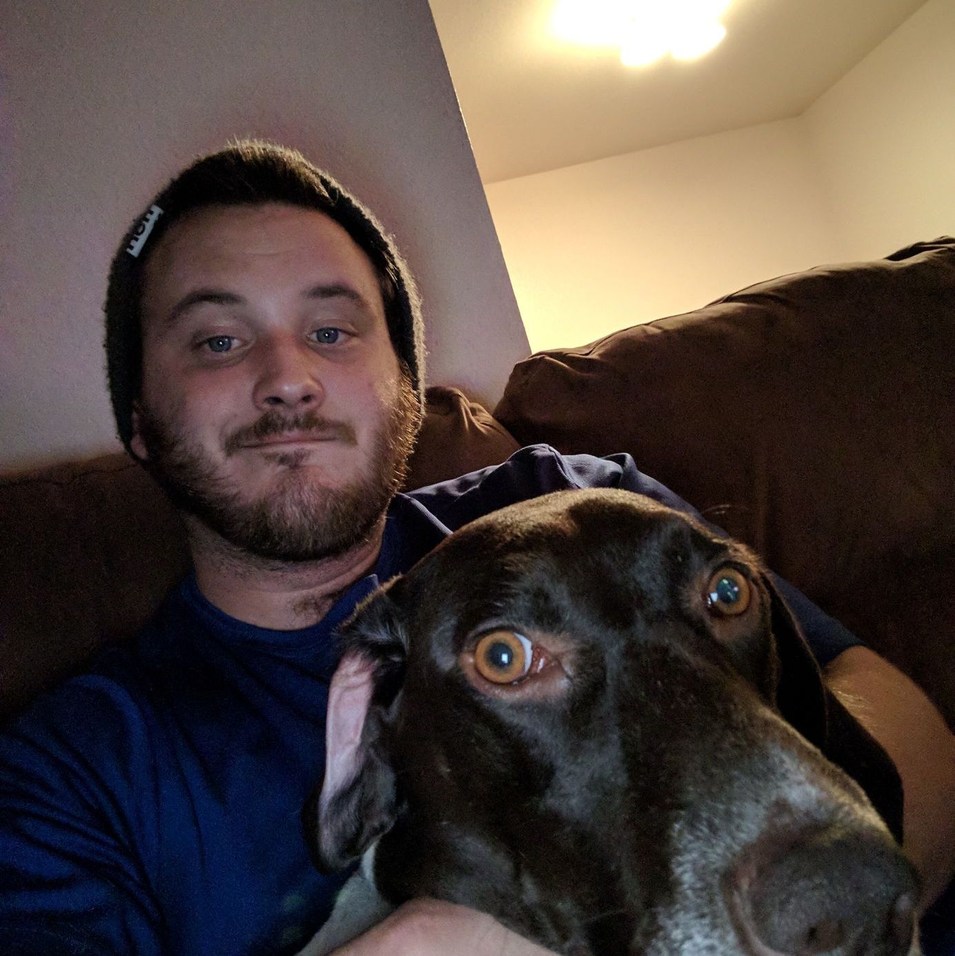 Profile of Andrew Hutchison