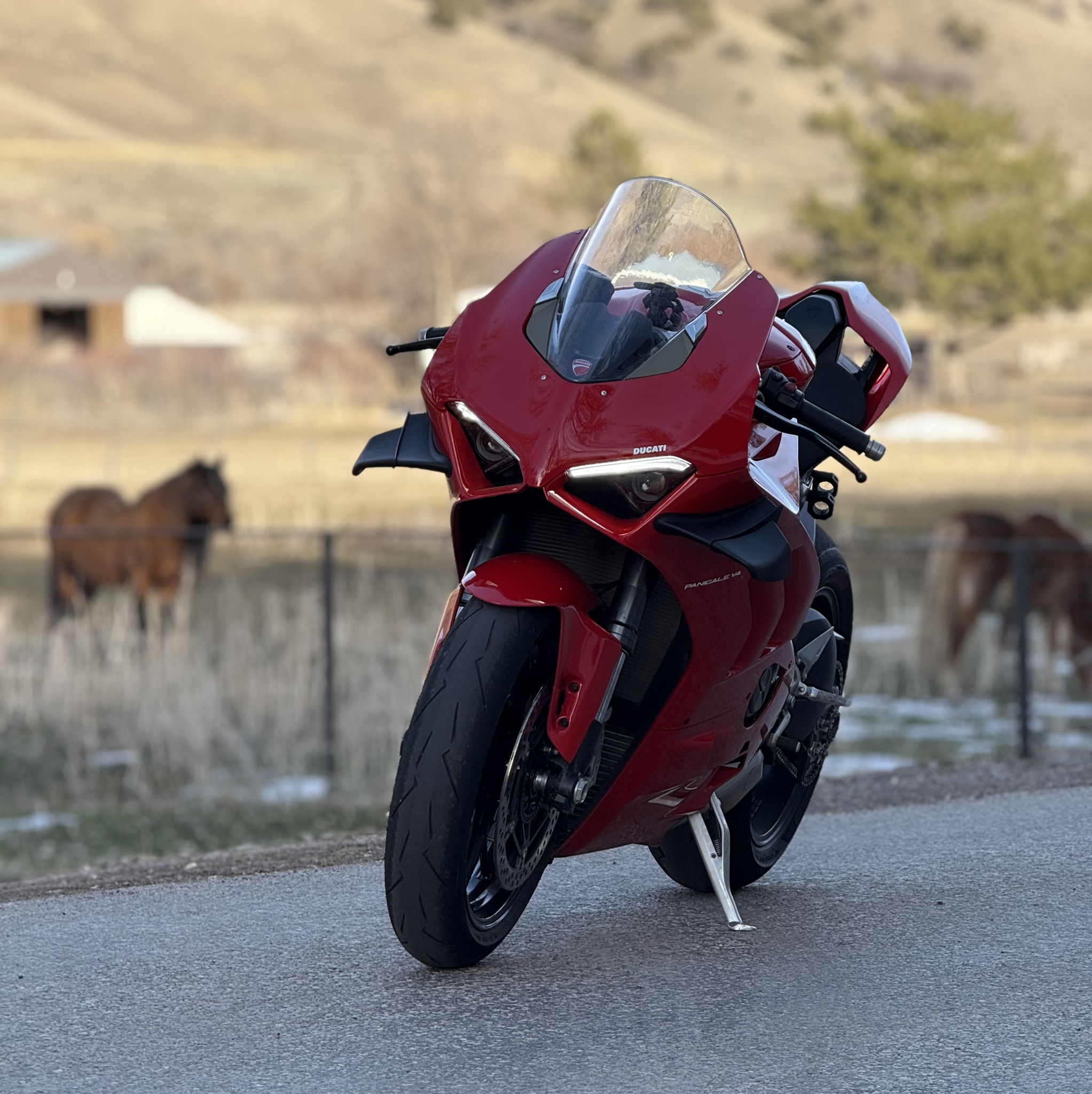 Profile of Teagan Tippets