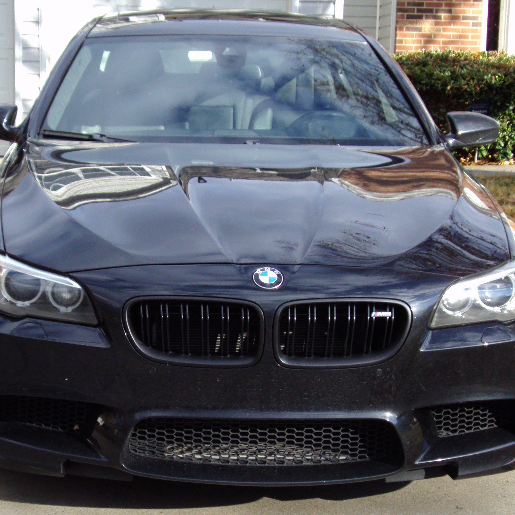 Profile of Mark McFadden