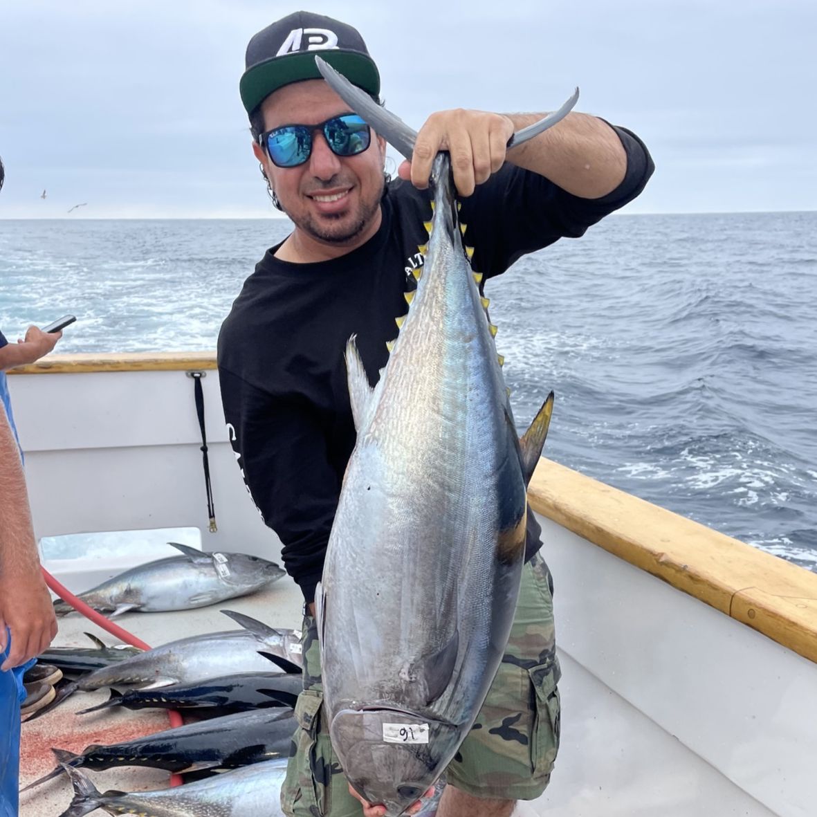 Profile of Ayed Alnajjar