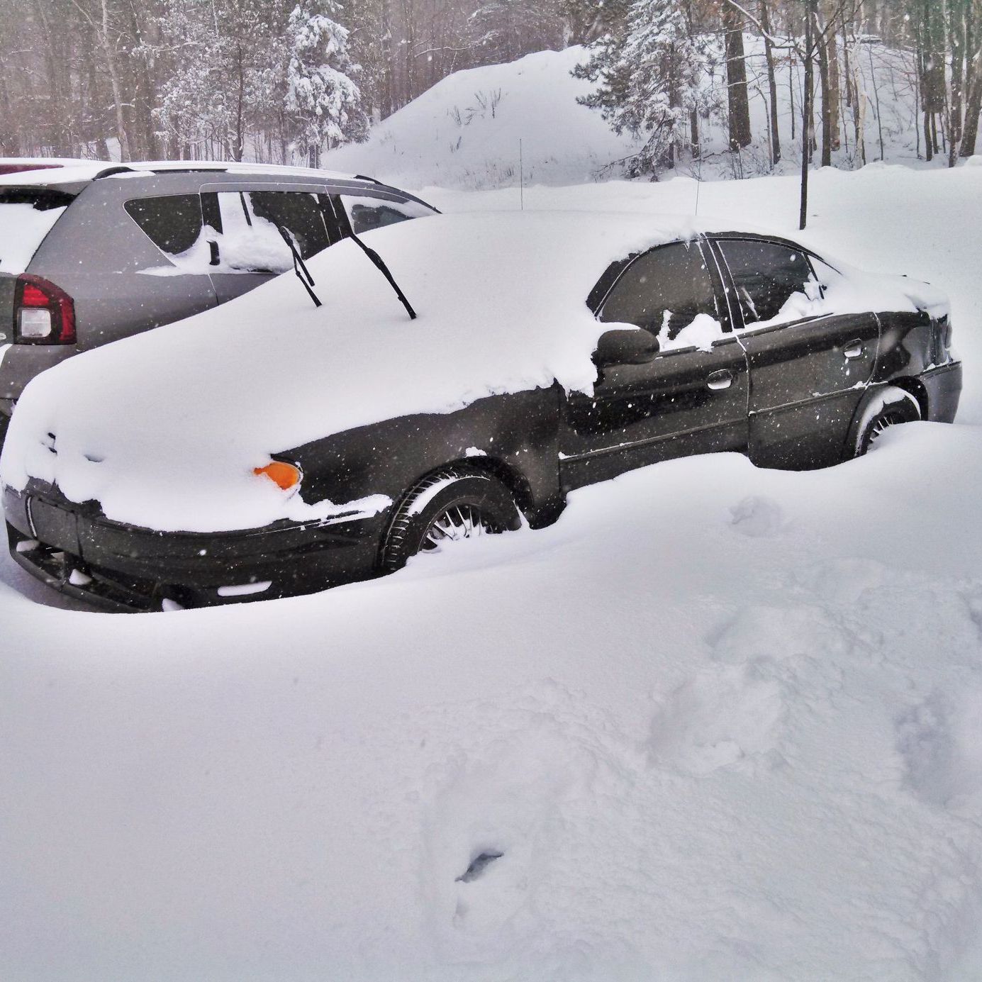 Profile of Alvin Deming