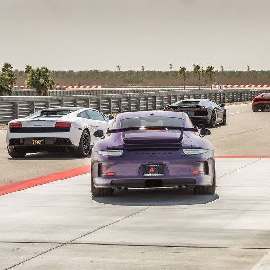 Profile of Parvaneh Carter