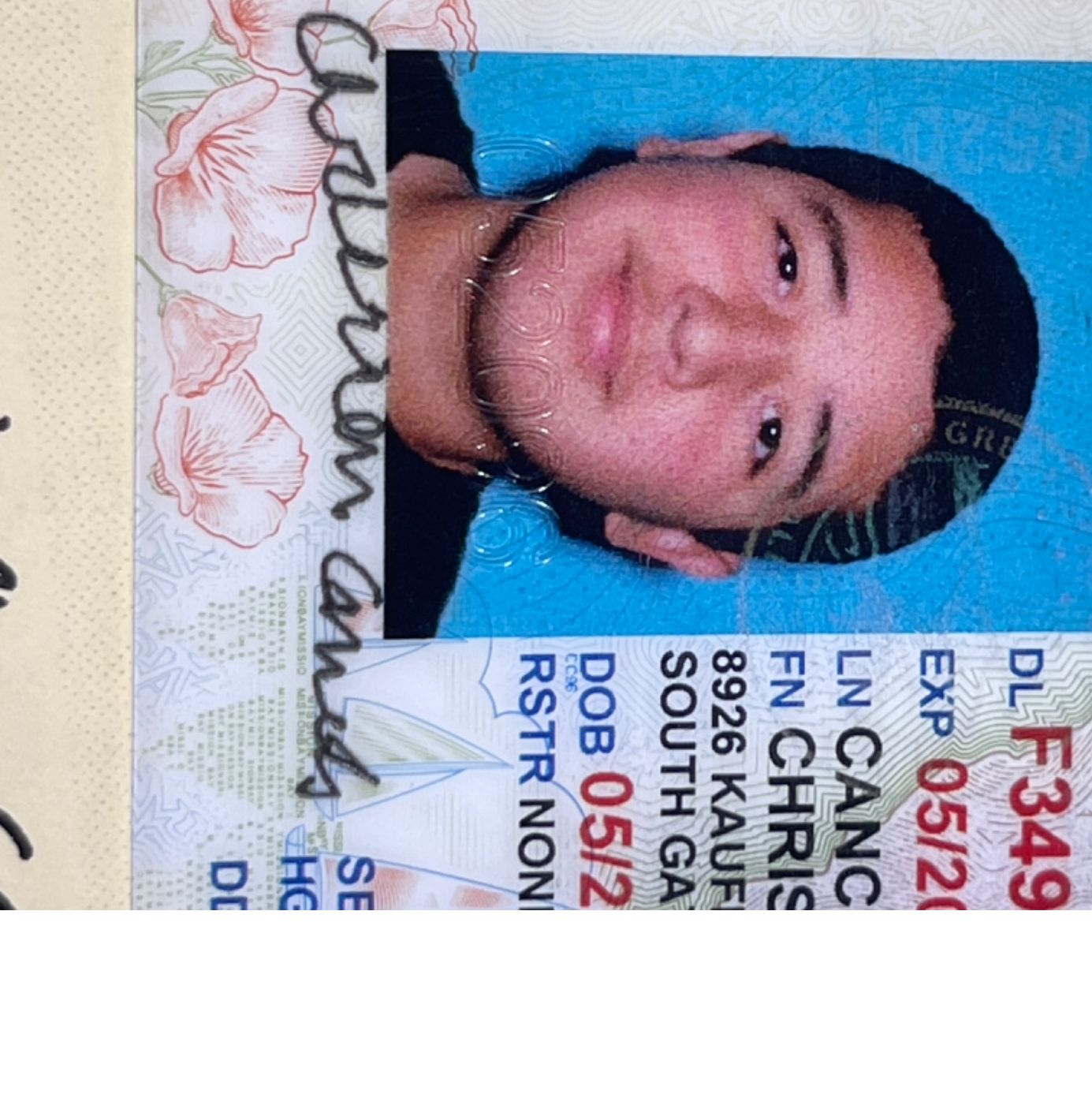 Profile of Christian Cancino