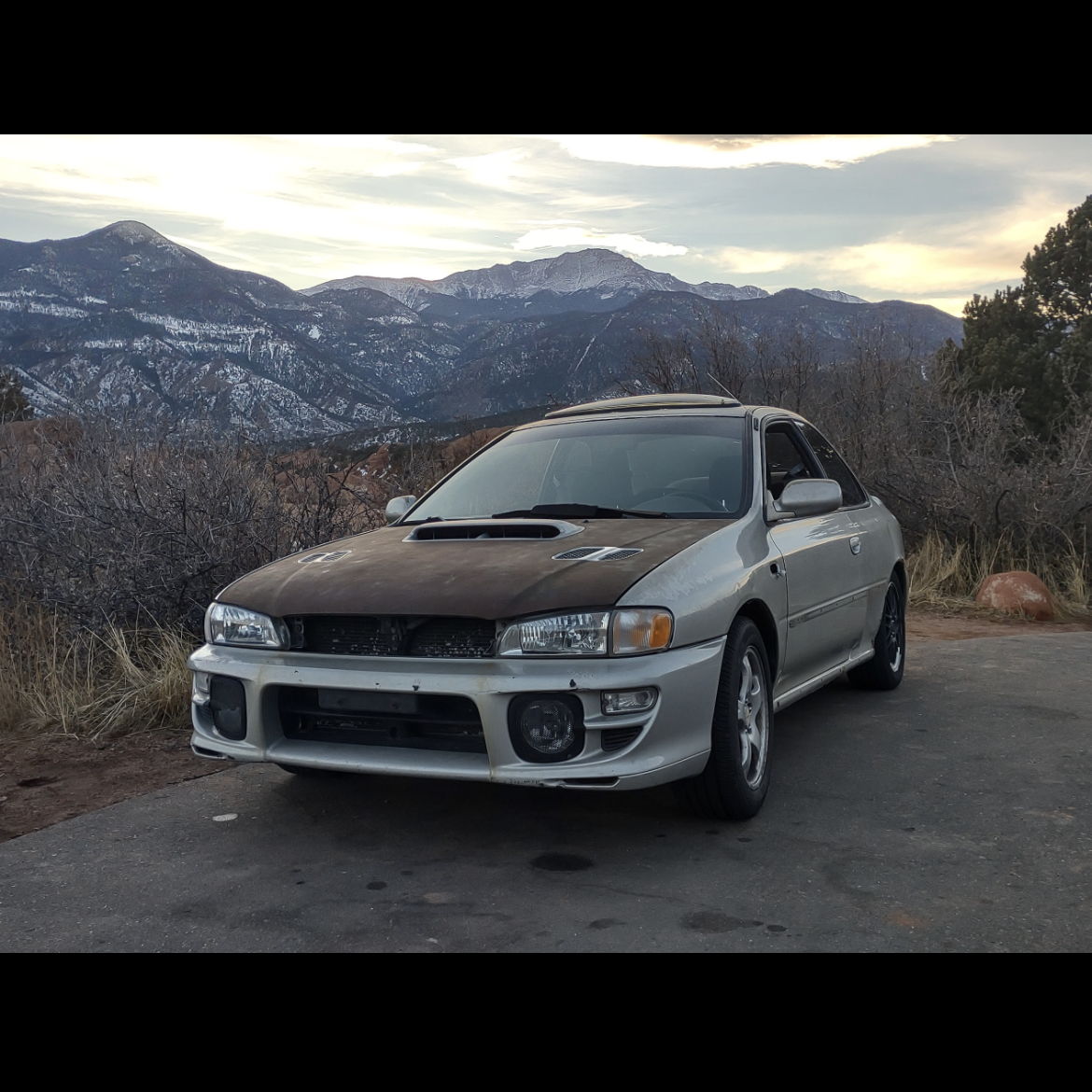 Profile of Sarah Beal