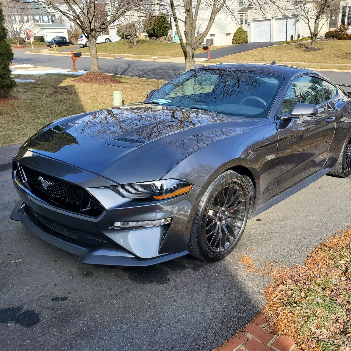 Profile of Fred Briggs