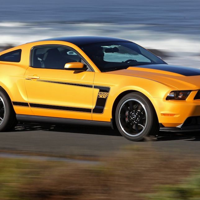 Profile of Terry Willcox