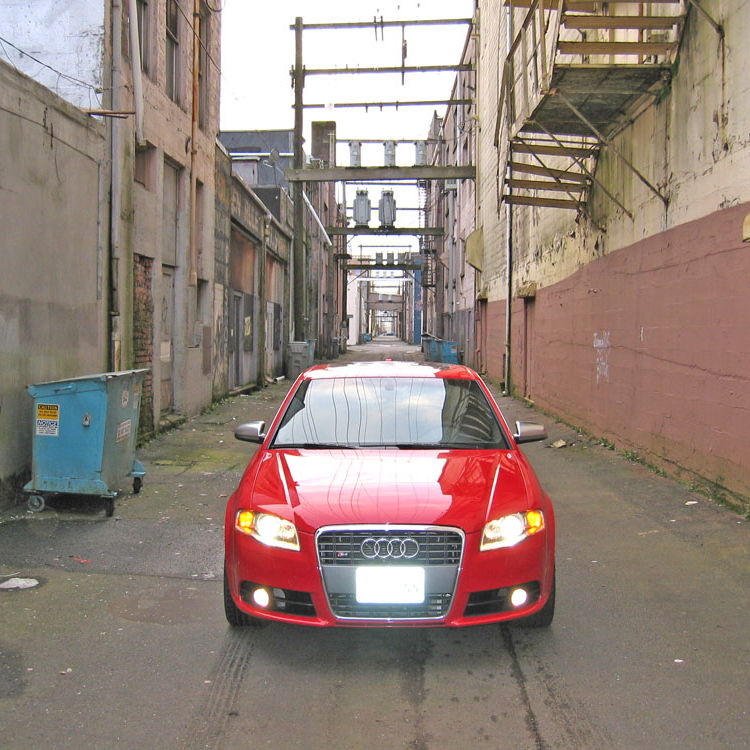 Profile of Carrie Stewart