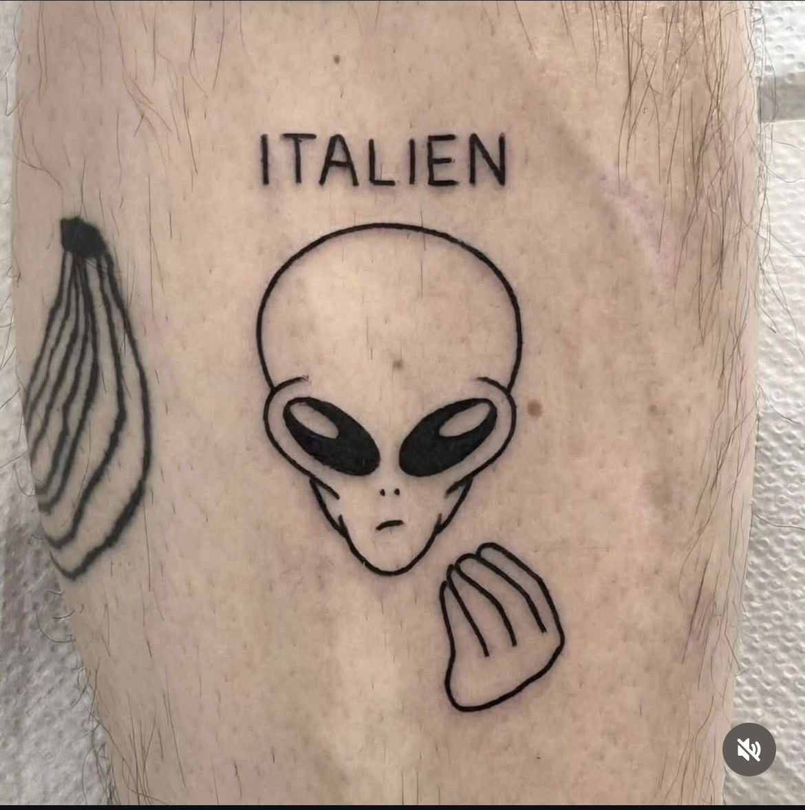 Profile of Tj Julien