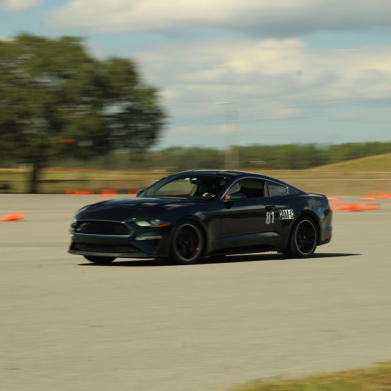 Profile of Bill Petro