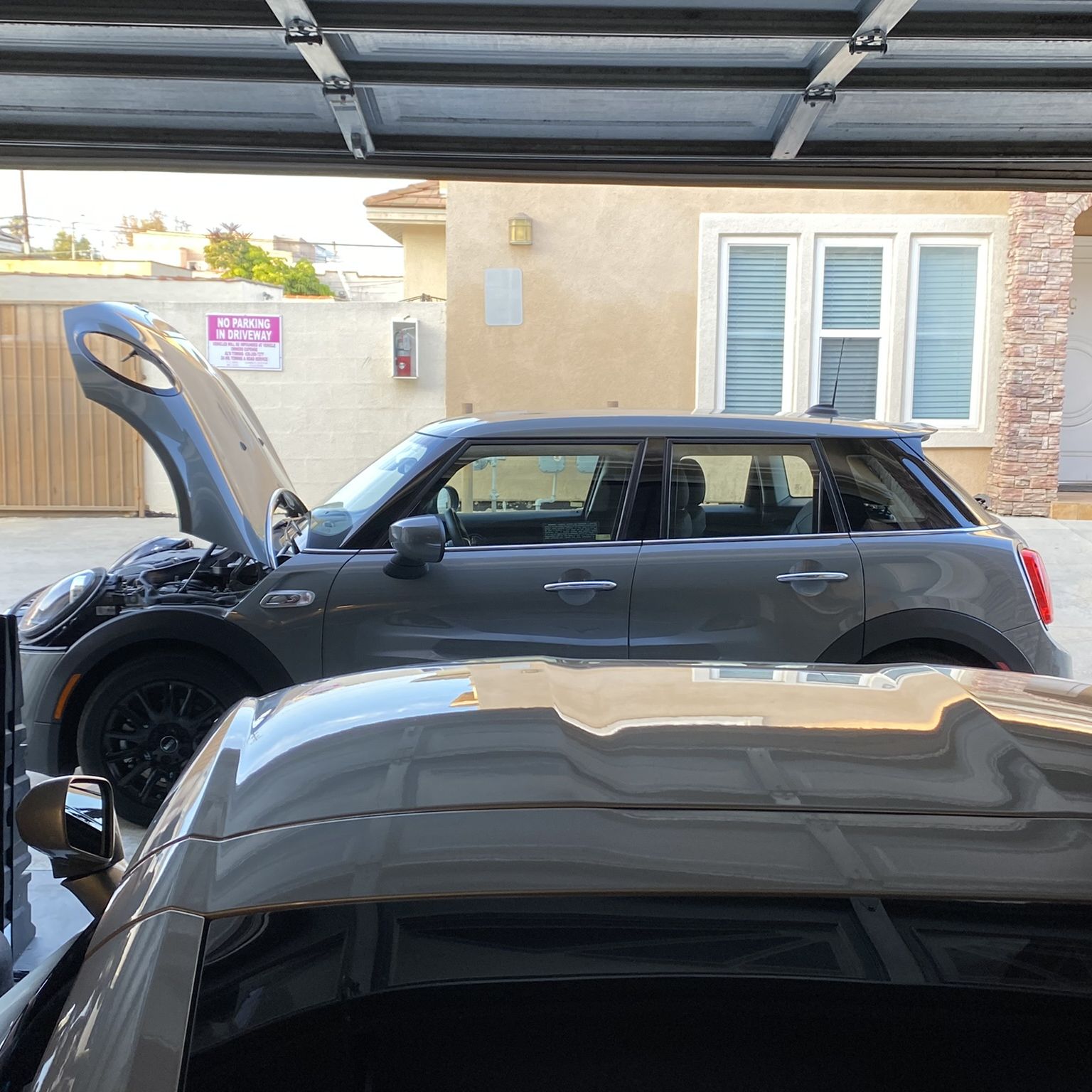 Profile of Michael Nite