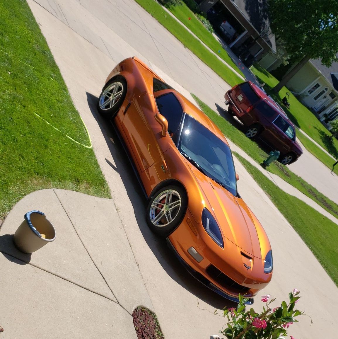 Profile of Laith Aossey