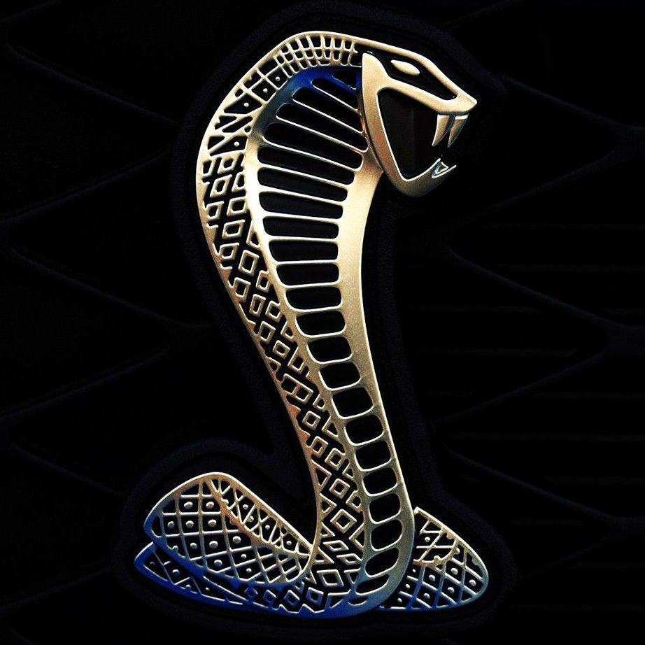 Profile of Wesley Austin