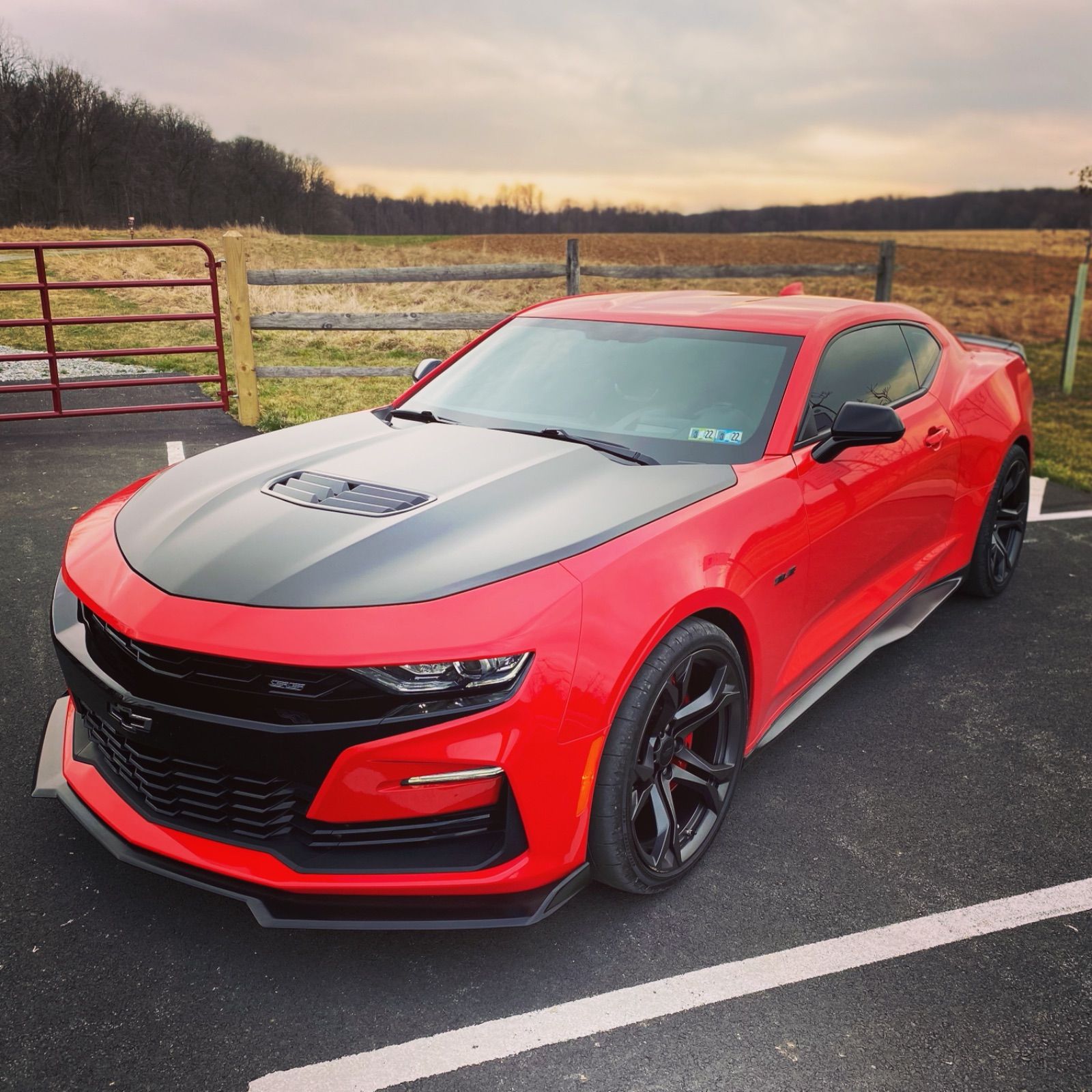 Profile of Matt Laporta