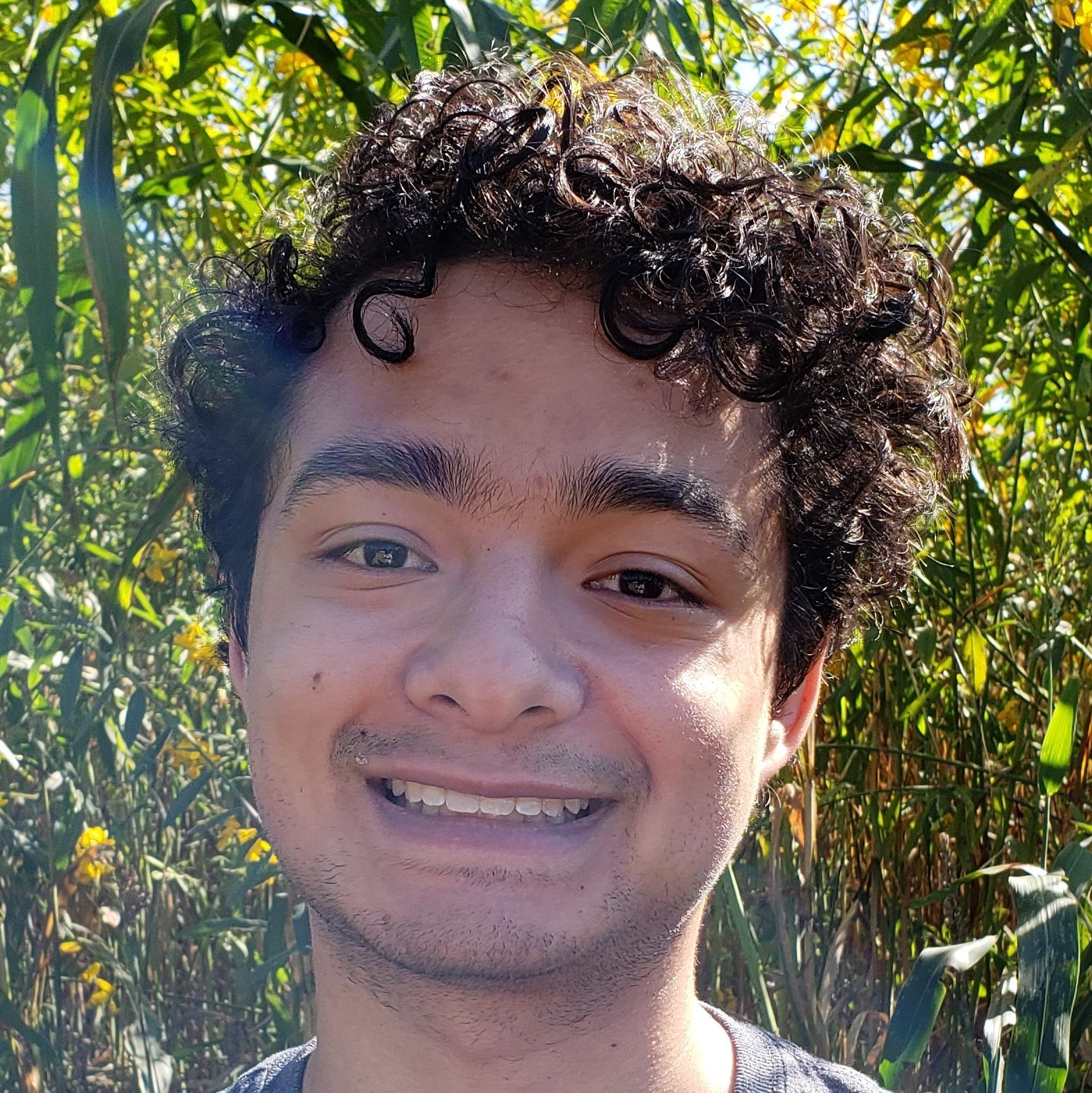 Profile of Zachary Figueroa