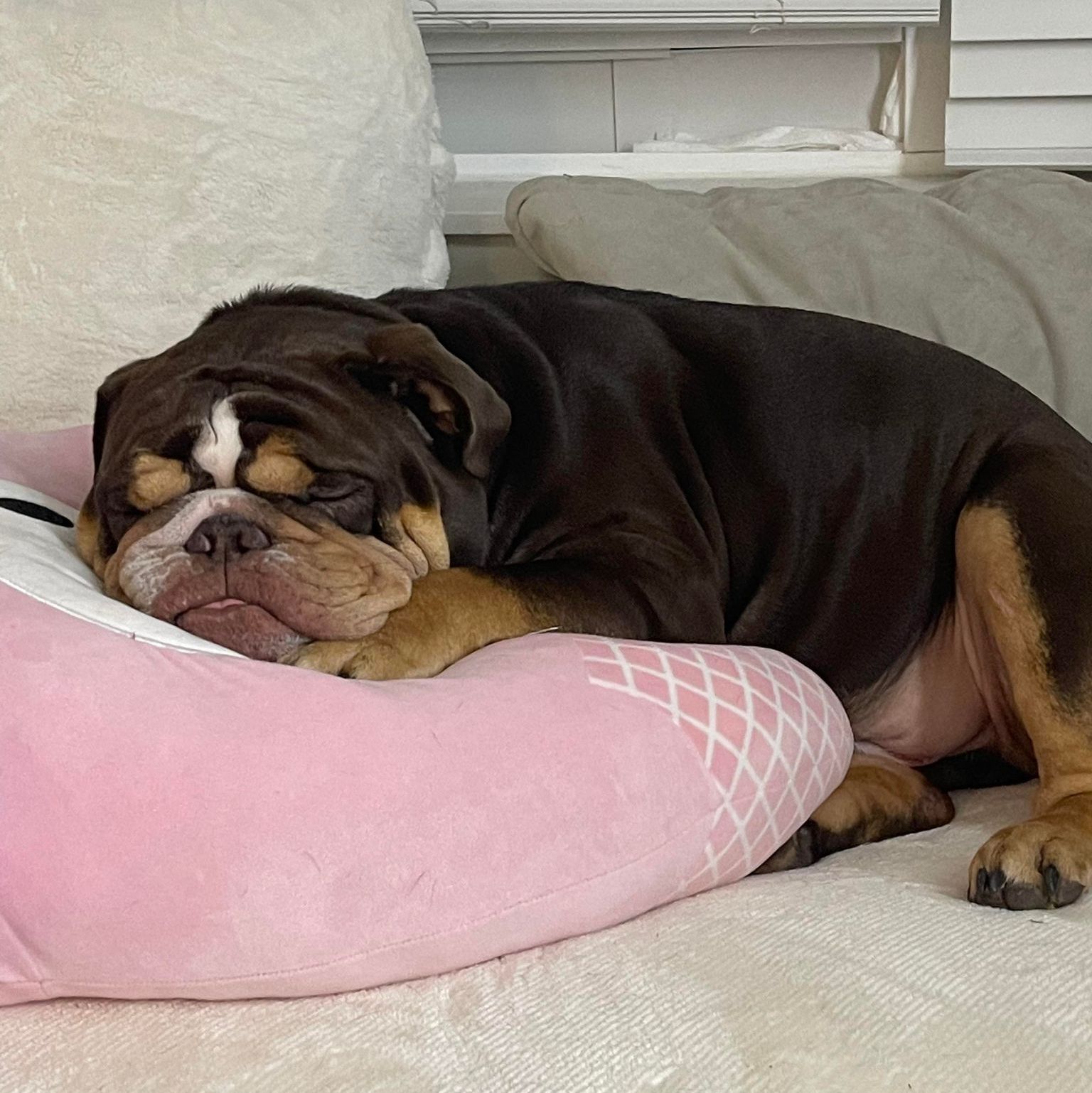 Profile of Ronnald Le