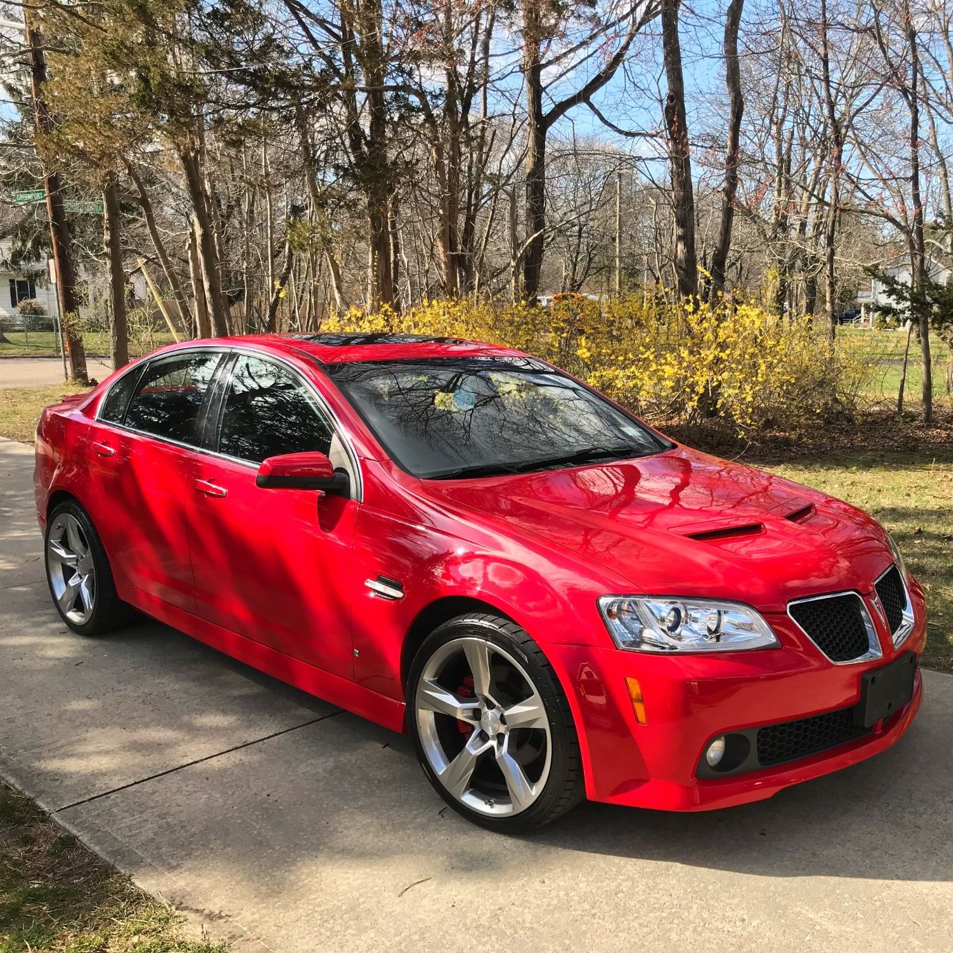 Profile of Anthony Urizzo