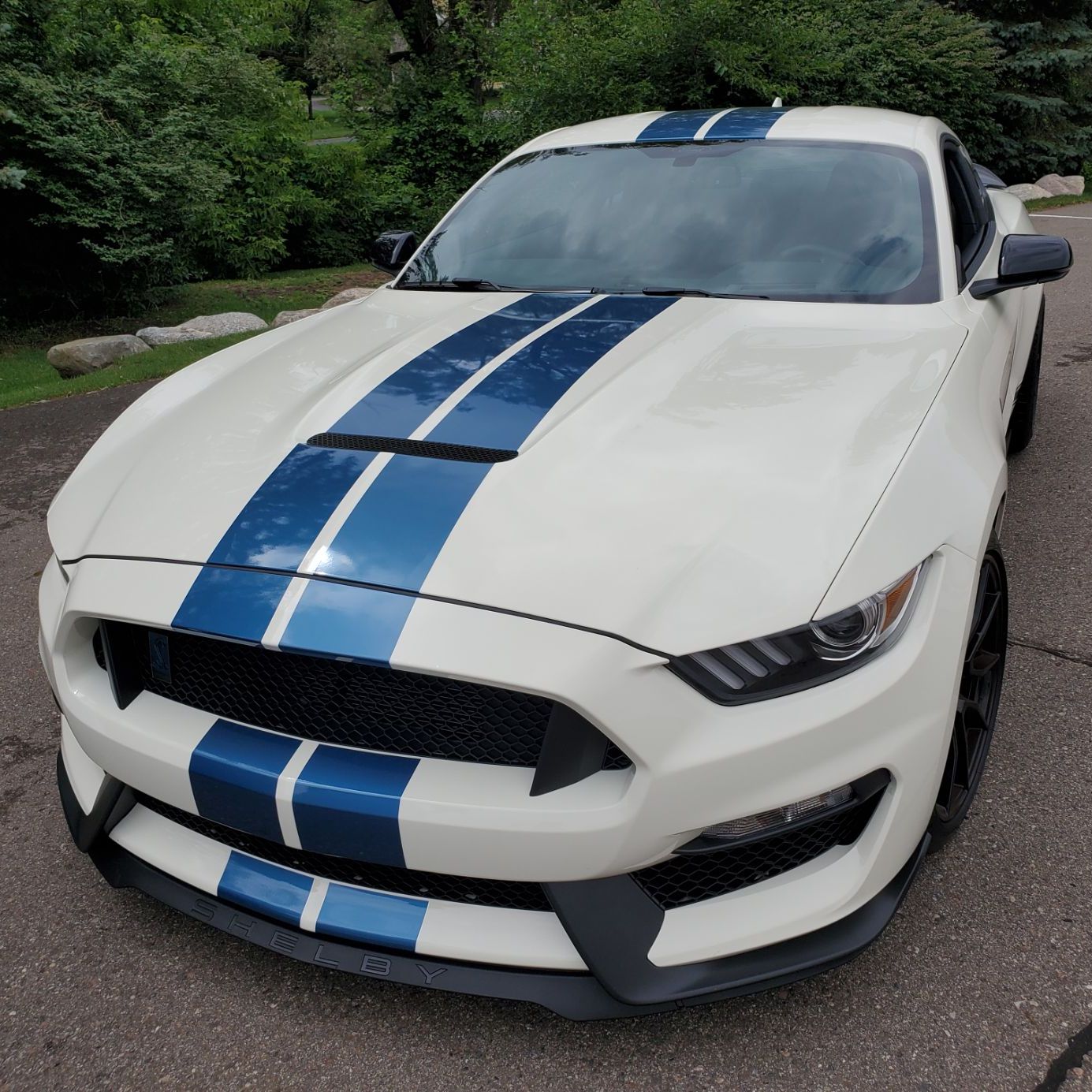 Profile of Steven Showalter