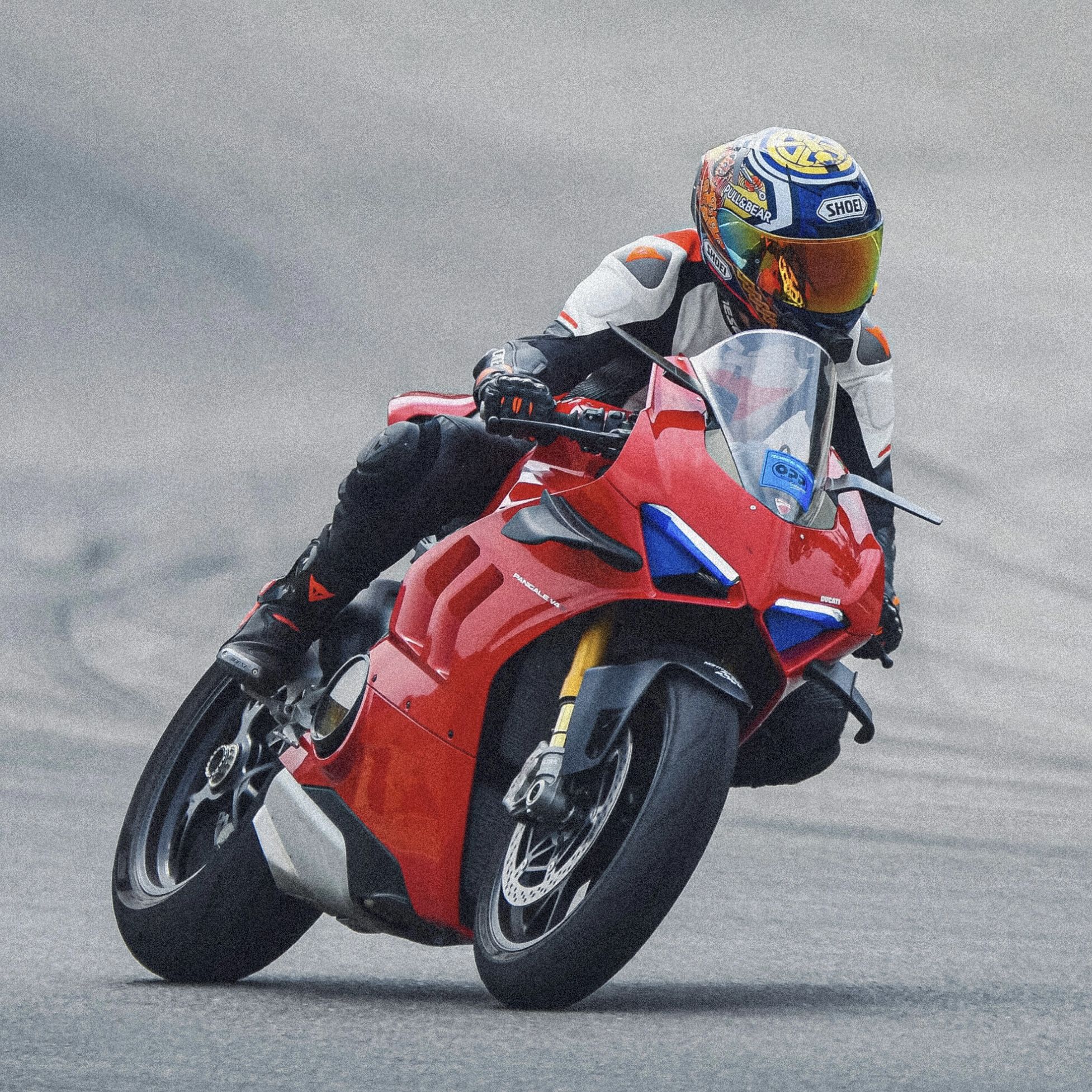 Profile of Yuduo Fan