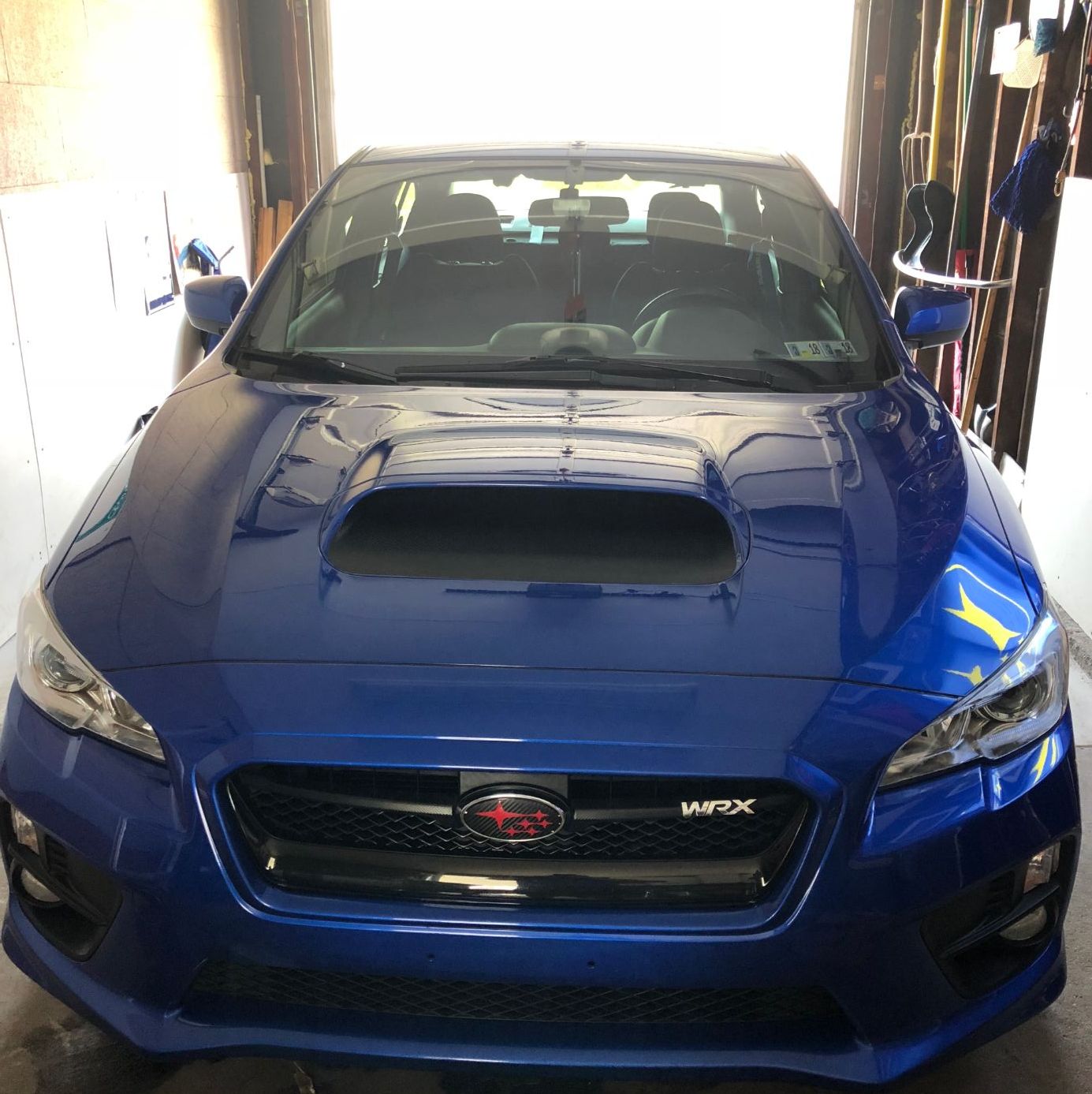 Profile of Dominic Ambrosano