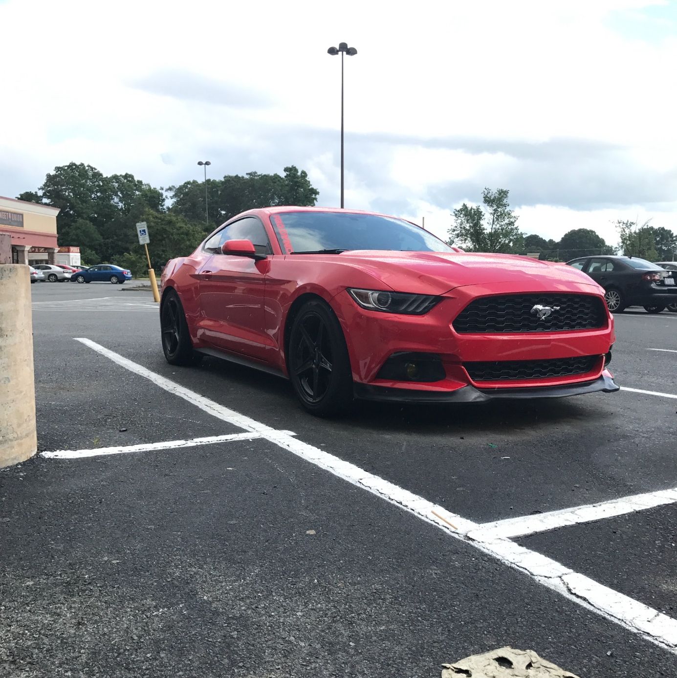 Profile of Adam Hargis