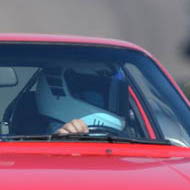 Profile of Neil Halbert