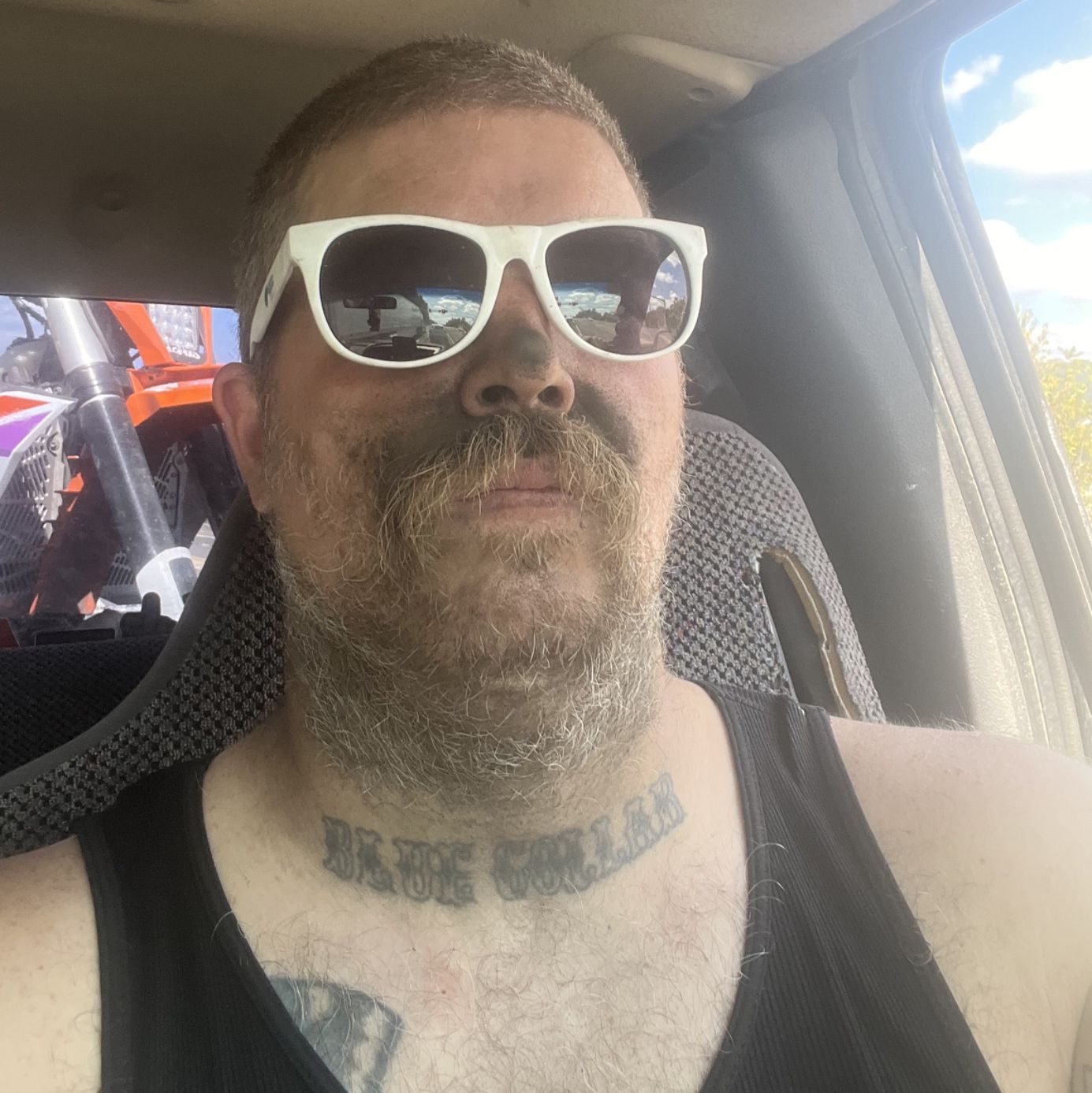 Profile of Dan Warner
