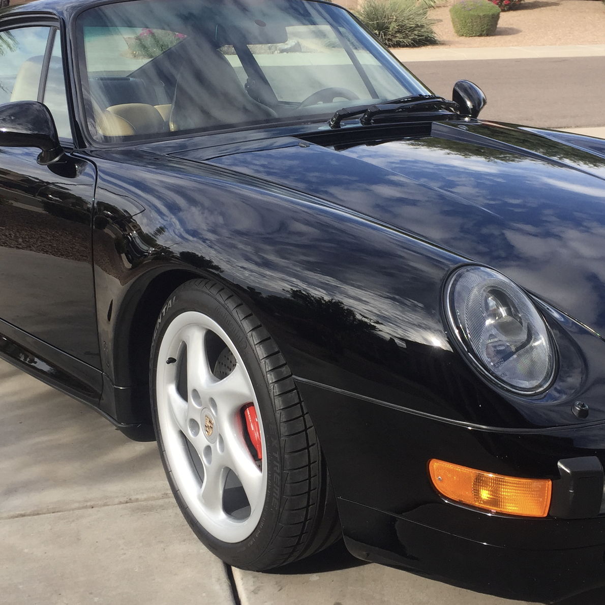 Profile of Phil Robinson