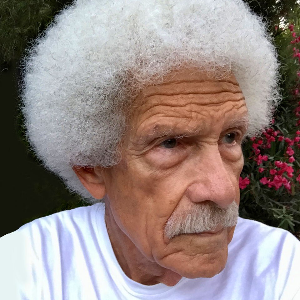 Profile of Allan Hanson