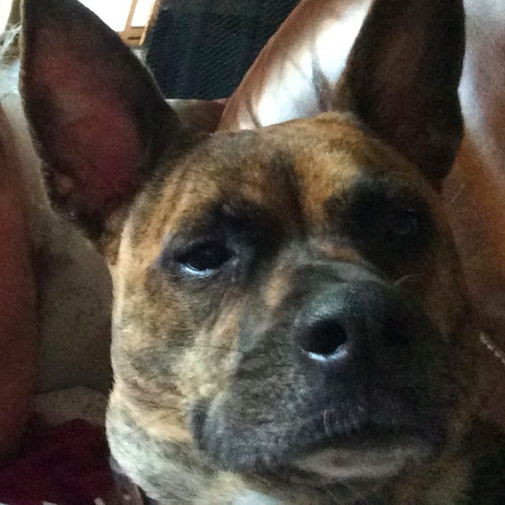 Profile of Loren Stumbaugh