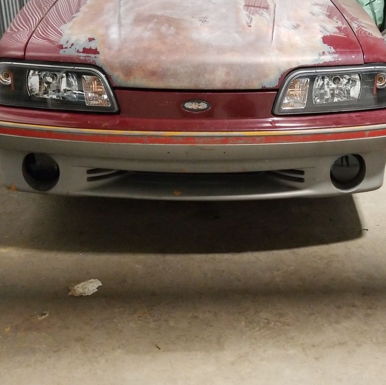 Profile of Cody Conner