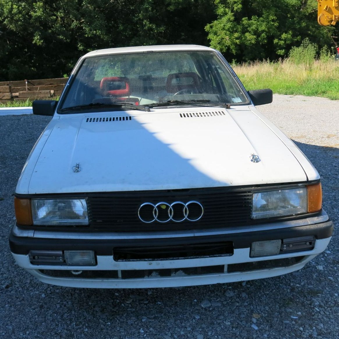 Profile of Kendal Clark