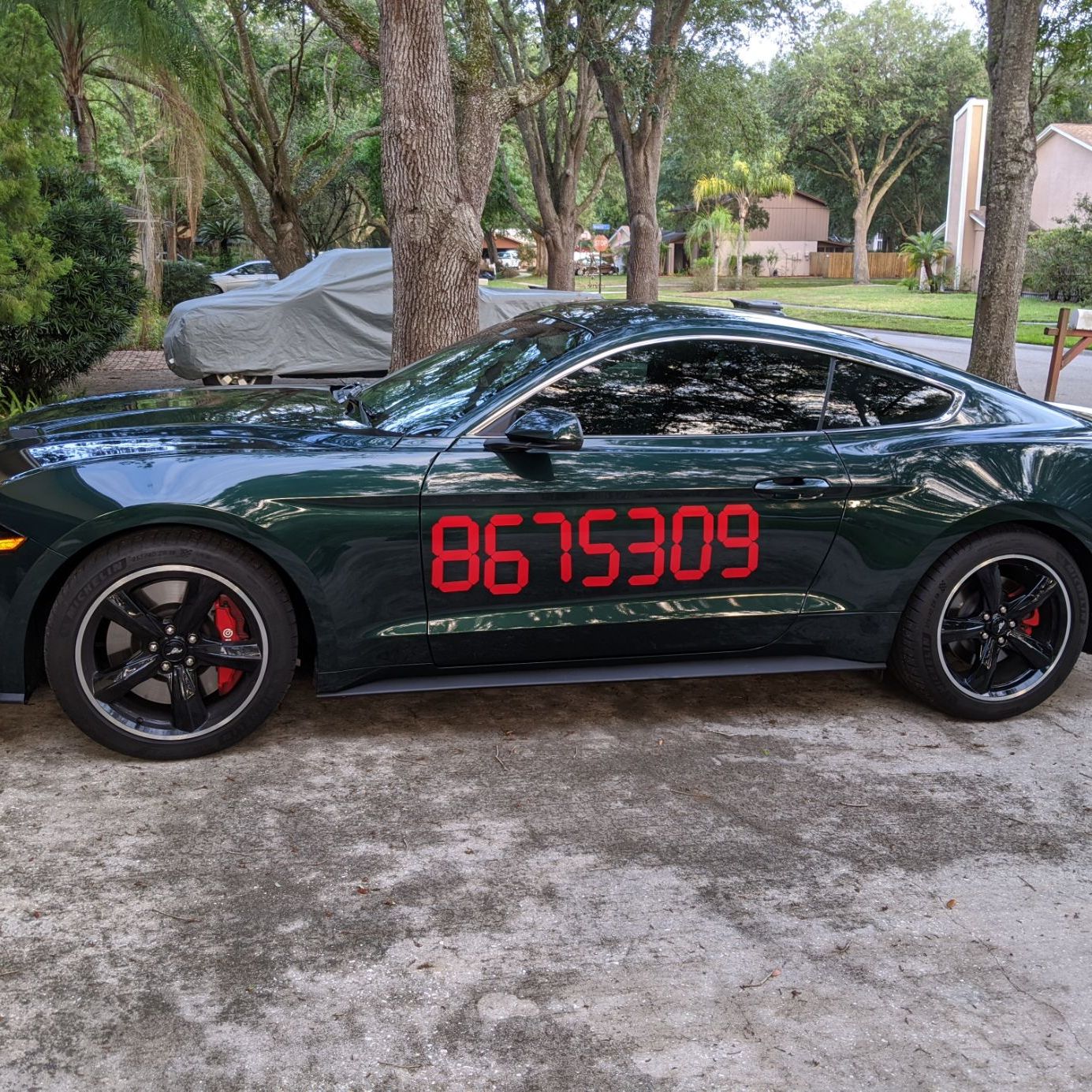 Profile of Bill Petro