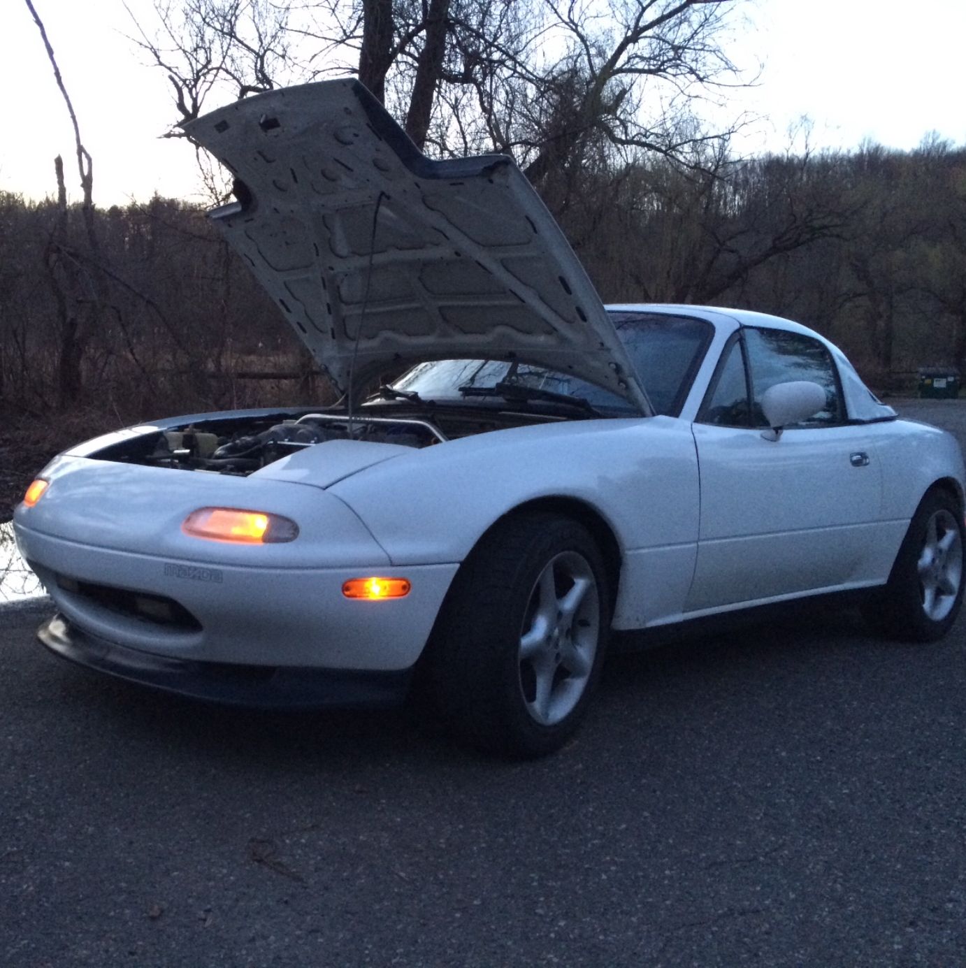 Profile of Michael Varady