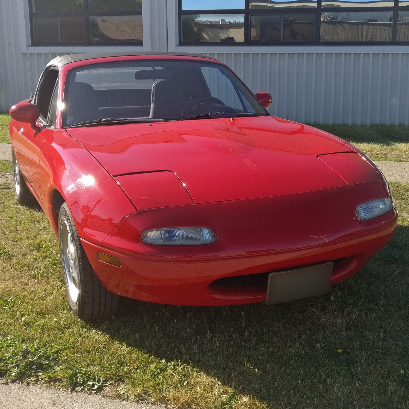 Profile of Kim McJannett