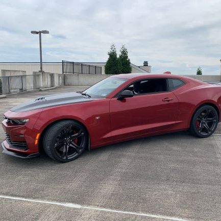 Profile of Andrew Biviano