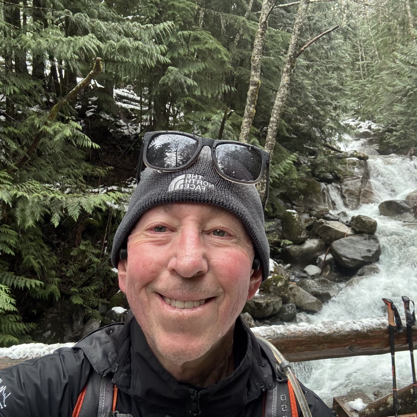 Profile of Michael Saccone