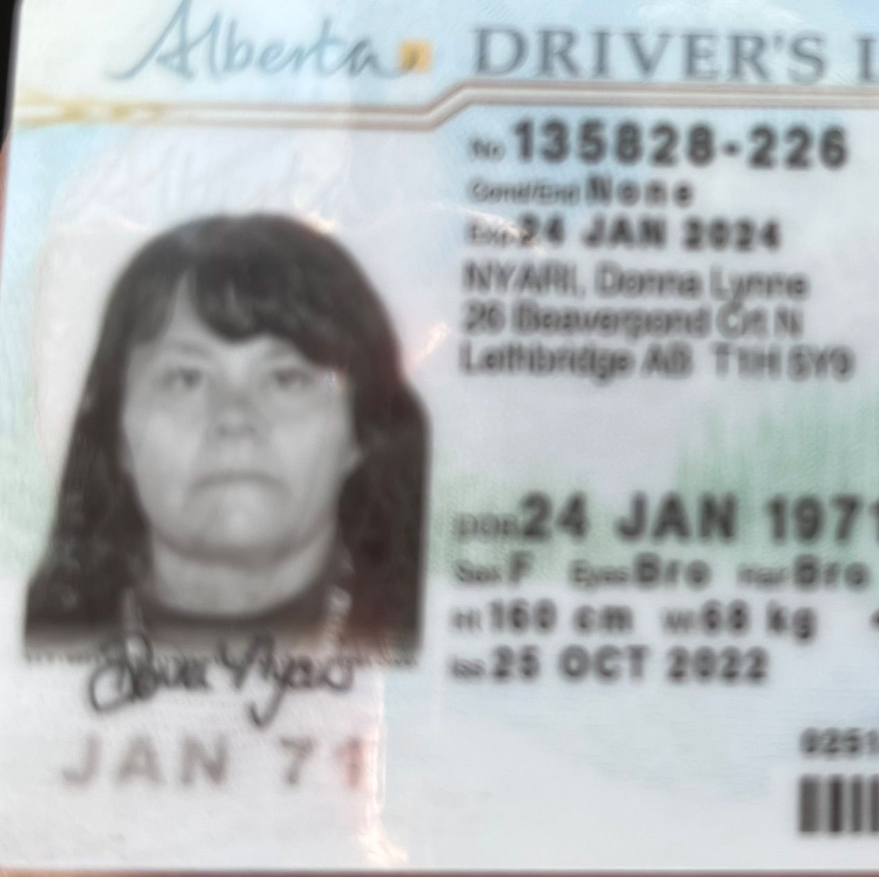 Profile of Donna Nyari