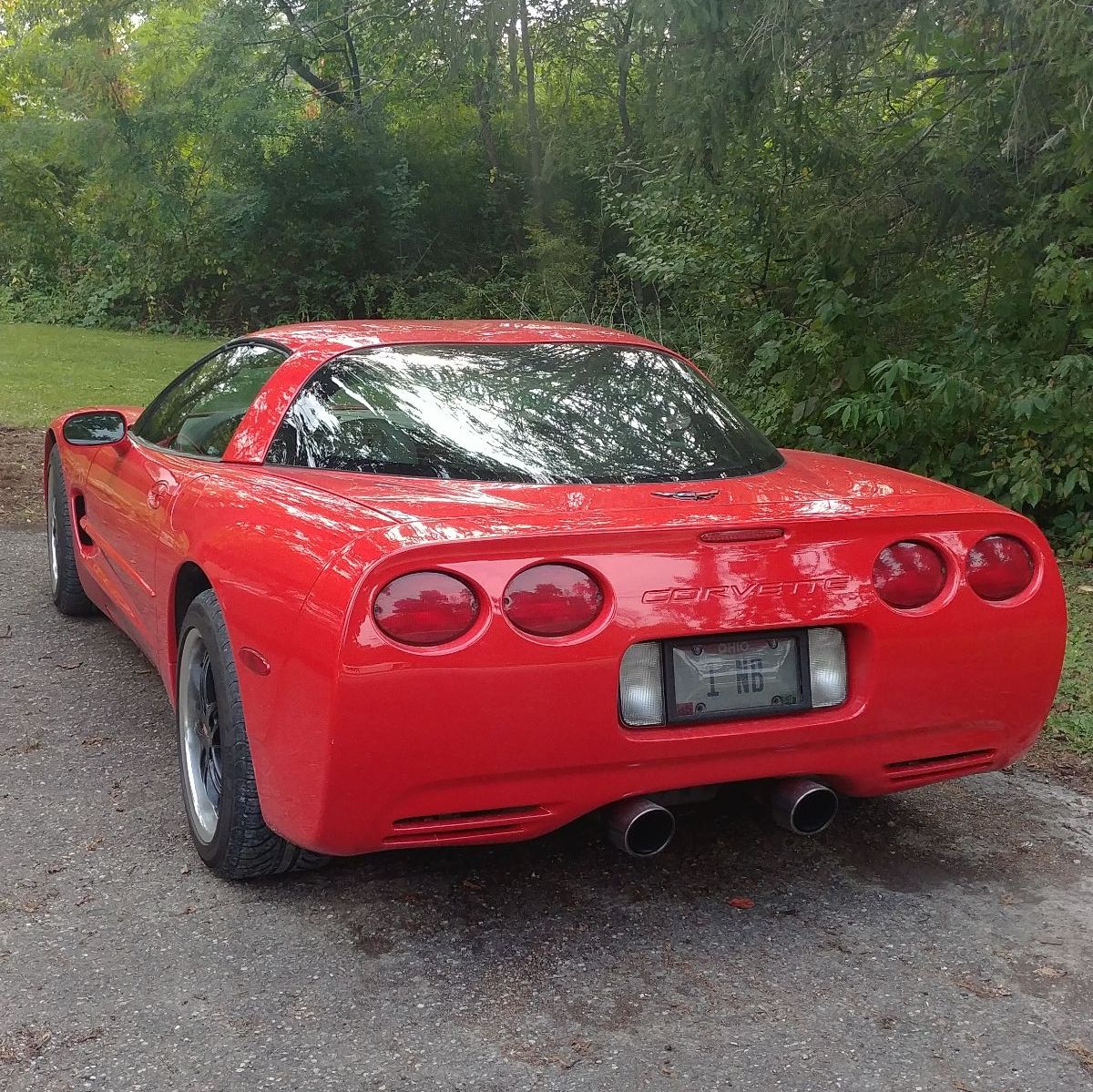 Profile of Jed Bergman