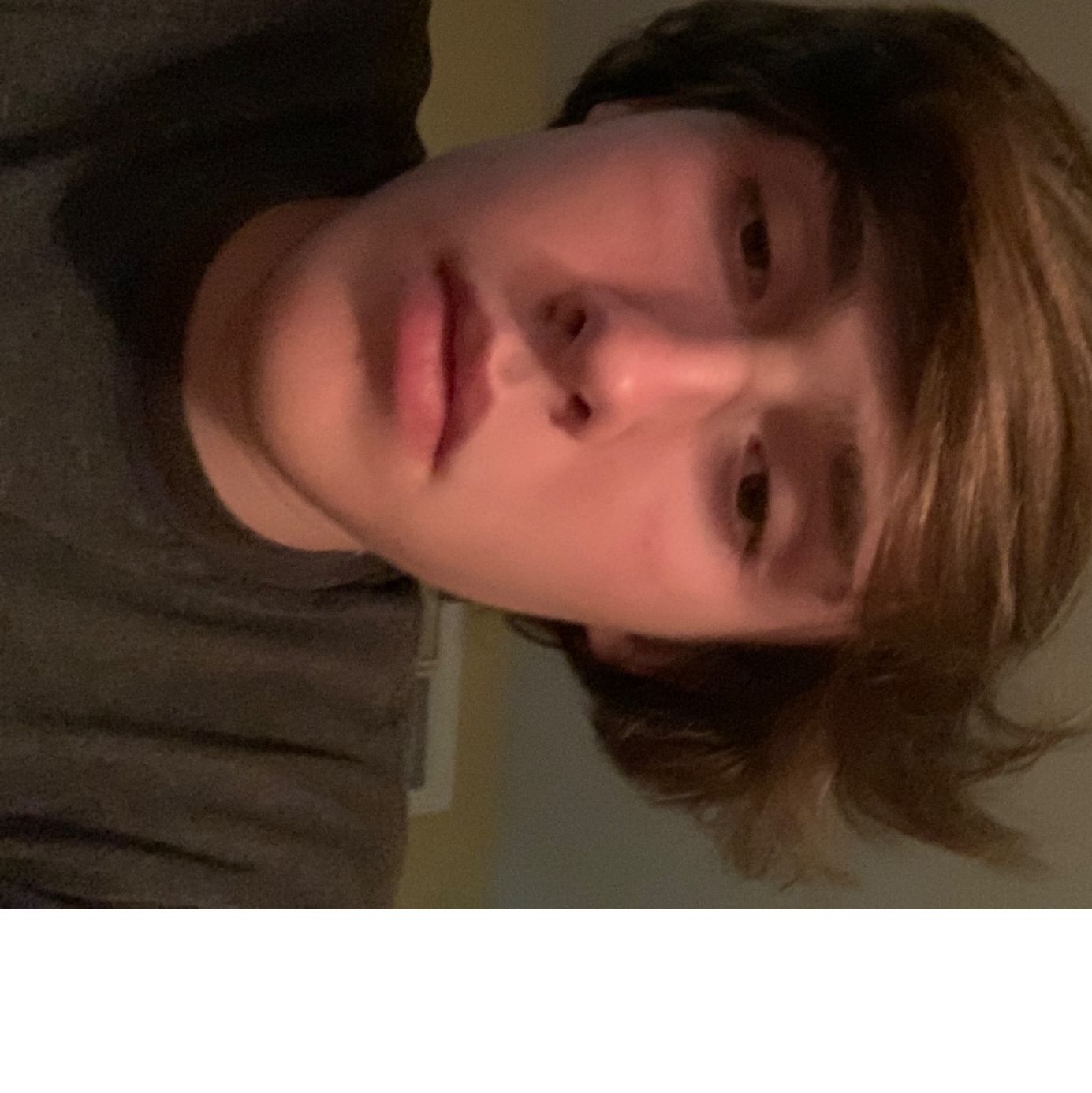 Profile of Steven Navratil