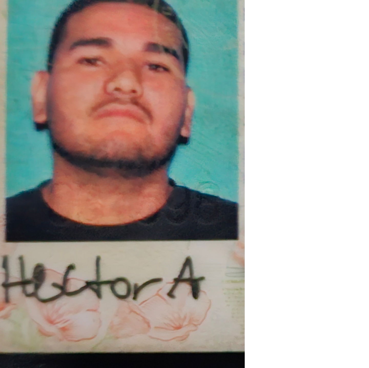 Profile of Hector Alvarado aragon