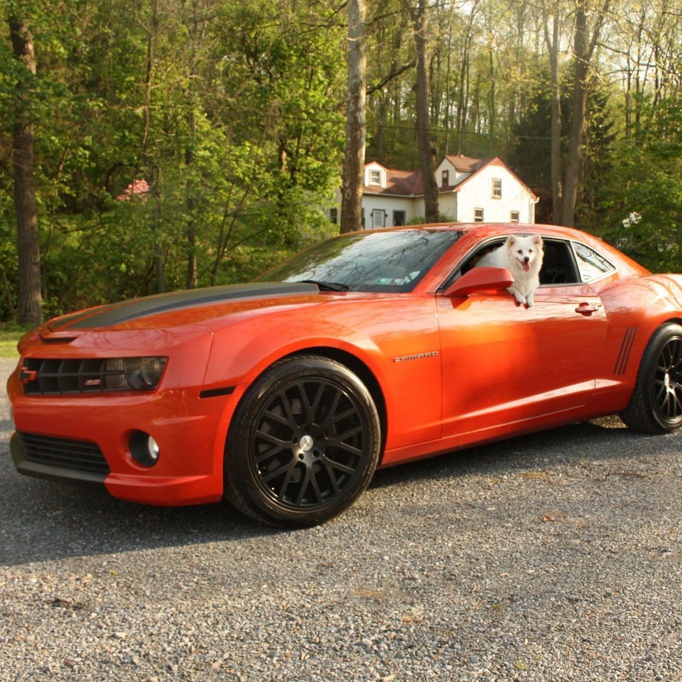 Profile of Ethan Snyder