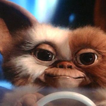 Profile of Kyle Nilson