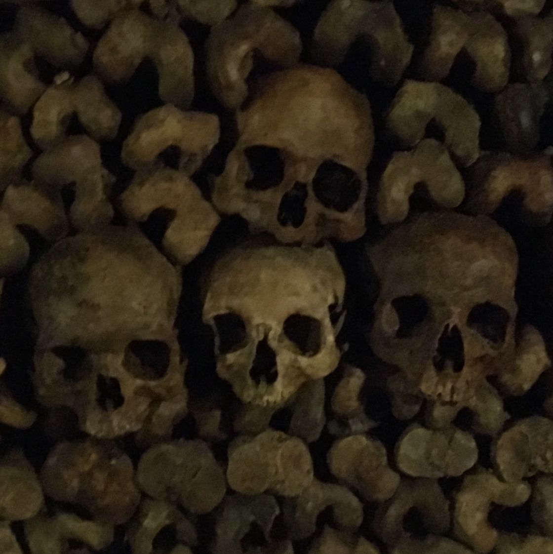 Profile of Ryan Strehlow